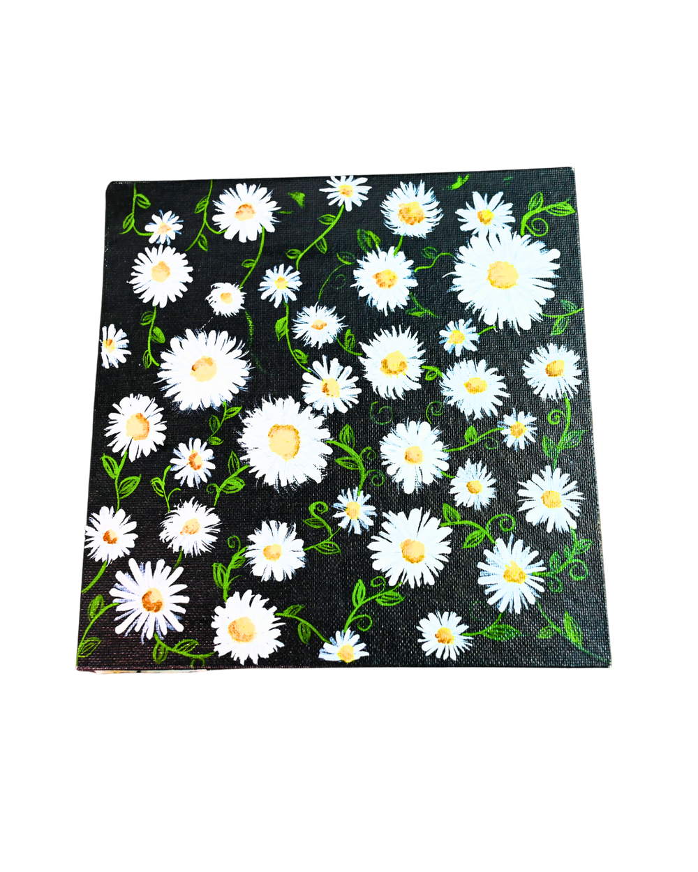 Midnight Daisy Bloom Canvas